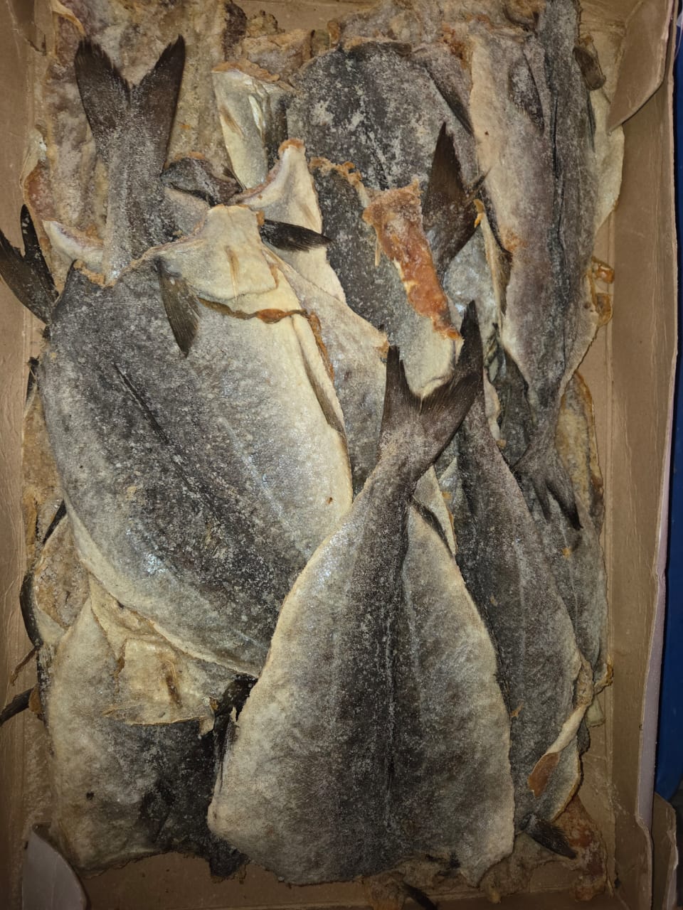 POISSON SALE - Image 2